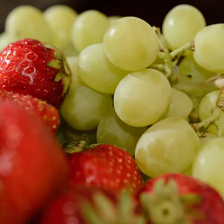 Dorfmeister Business 3*