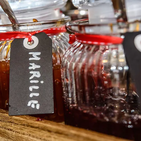 Hotel Dorfmeister Business