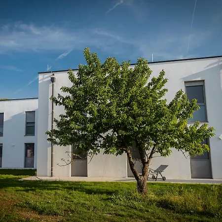 Dorfmeister Business