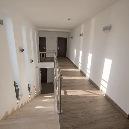 Dorfmeister Business