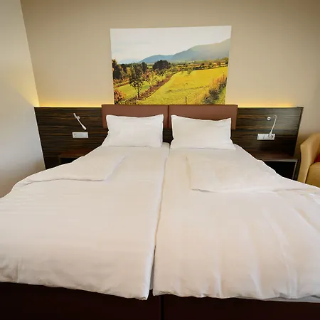 Hotel Dorfmeister Business Weikersdorf am Steinfelde