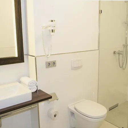 호텔 Dorfmeister Business 3*