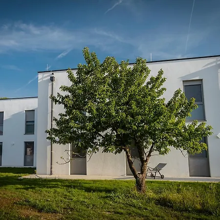 Dorfmeister Business Hotel