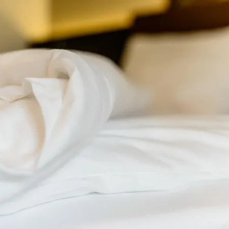 Dorfmeister Business Hotel 3*