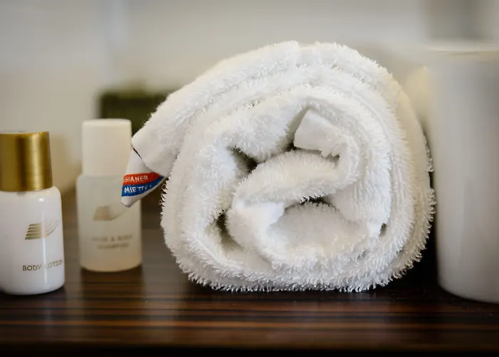 Dorfmeister Business Hotel 3*