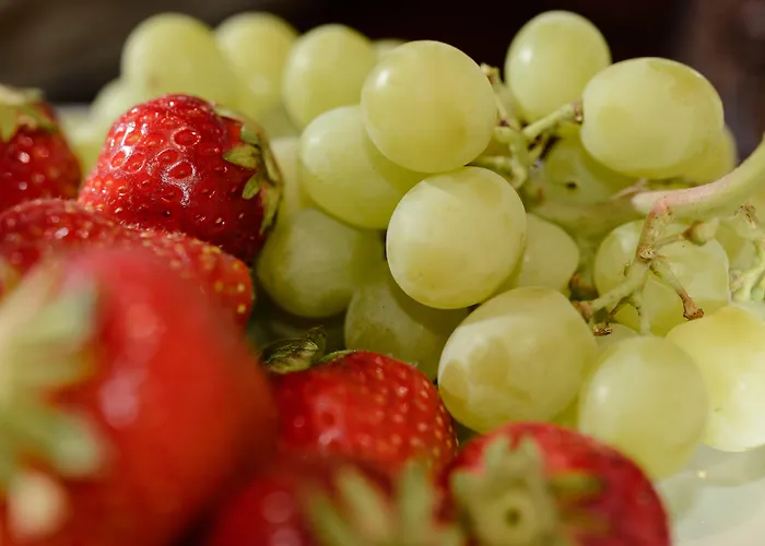 Dorfmeister Business 3*