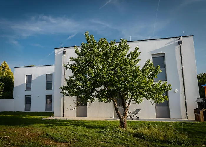 Dorfmeister Business