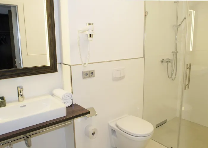 Hotel Dorfmeister Business 3*